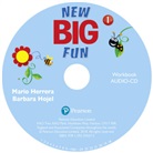 Big Fun Refresh Level 1 Workbook Audio CD (Audio book)