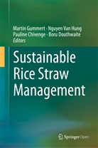Pauline Chivenge, Pauline Chivenge et al, Boru Douthwaite, Martin Gummert, Nguyen van Hung, Hung Van Nguyen... - Sustainable Rice Straw Management