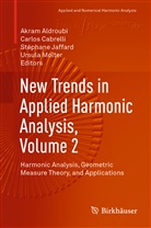 Akram Aldroubi, Carlo Cabrelli, Carlos Cabrelli, Stéphane Jaffard, Stéphane Jaffard et al, Ursula Molter - New Trends in Applied Harmonic Analysis, Volume 2