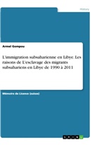 Armel Gompou - L'immigration subsaharienne en Libye. Les raisons de L'esclavage des migrants subsahariens en Libye de 1990 à 2011
