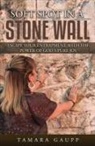 Tamara Gaupp, Tami Gaupp - Soft Spot in a Stone Wall: Escape Your Entrapment with the Power of God's Pure Joy