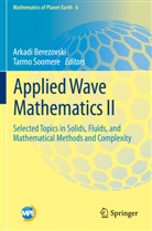 Arkad Berezovski, Arkadi Berezovski, Soomere, Soomere, Tarmo Soomere - Applied Wave Mathematics II