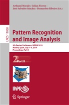 Julia Fierrez, Julian Fierrez, Aythami Morales, Bernardete Ribeiro, José Salvador Sánchez et al, José Salvador Sánchez - Pattern Recognition and Image Analysis