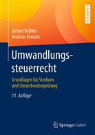 Gerno Brähler, Gernot Brähler, Andreas Krenzin - Umwandlungssteuerrecht