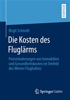 Birgit Schmidt - Die Kosten des Fluglärms