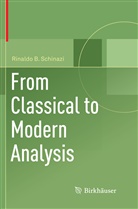 Rinaldo B Schinazi, Rinaldo B. Schinazi - From Classical to Modern Analysis