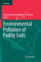 Muhammad Zaffar Hashmi, Varma, Varma, Ajit Varma, Muhamma Zaffar Hashmi, Muhammad Zaffar Hashmi - Environmental Pollution of Paddy Soils