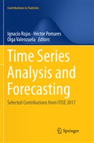 Hécto Pomares, Héctor Pomares, Ignacio Rojas, Olga Valenzuela - Time Series Analysis and Forecasting
