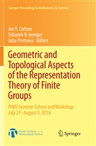 Srikant B Iyengar, Srikanth B Iyengar, Jon F. Carlson, Srikanth B. Iyengar, Julia Pevtsova - Geometric and Topological Aspects of the Representation Theory of Finite Groups
