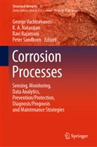 A Natarajan, K A Natarajan, K. A. Natarajan, Ravi Rajamani, Ravi Rajamani et al, Peter Sandborn... - Corrosion Processes