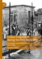 Matthew Stibbe - Civilian Internment during the First World War