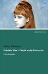 Arthur Schnitzler - Fräulein Else - Flucht in die Finsternis