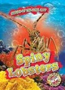 Lindsay Shaffer - Spiny Lobsters