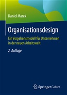 Daniel Marek - Organisationsdesign