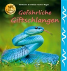 Andreas Fischer-Nagel, Heideros Fischer-Nagel, Heiderose Fischer-Nagel - Gefährliche Giftschlangen