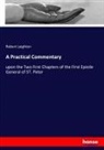 Robert Leighton - A Practical Commentary