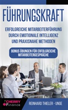 Reinhard Thieler-Unge, Cherry Finance, Cherr Finance, Cherry Finance - Führungskraft