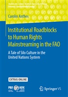 Carolin Anthes - Institutional Roadblocks to Human Rights Mainstreaming in the FAO