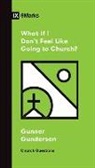 David Gundersen - What If I Don't Feel Like Going to Church?