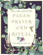 Serith Ceiriwr, Ceisiwr Serith, Ceisiwr (Ceisiwr Serith) Serith - The Big Book of Pagan Prayer and Ritual