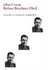 Iulian Ciocan, Iulian/ Blyth Ciocan - Before Brezhnev Died