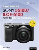 David D Busch, David D. Busch, Busch David D. - David Buschs Sony Alpha A6100/ilce-6100 Guide to Digital Photography