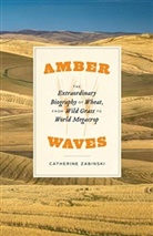 Catherine Zabinski - Amber Waves