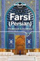 Yavar Dehghani, Dehghani Yavar, Lonely Planet, Lonely Planet Eng - Farsi, persian : phrasebook & dictionary