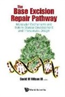 David M Wilson Iii, David M. Wilson, David M Wilson Iii, David M. Wilson III - BASE EXCISION REPAIR PATHWAY, THE