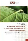 Soni Medjdoub Leulmi, Sonia Medjdoub Leulmi, Fouad Sellam - Cinétique Hydrique et Croissance du Blé dans la Plaine de la Mitidja