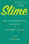Ruth Kassinger - Slime