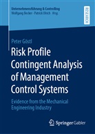 Peter Göstl - Risk Profile Contingent Analysis of Management Control Systems