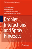 Gianpietro Cossali, Gianpietro Elvi Cossali, Gianpietro Elvio Cossali, Lamanna, Grazi Lamanna, Grazia Lamanna... - Droplet Interactions and Spray Processes