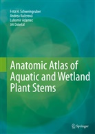 Lu Adamec, Lubomir Adamec, Lubomír Adamec, Ji¿í Dole¿al, Jiri Dolezal, Jirí Dolezal... - Anatomic Atlas of Aquatic and Wetland Plant Stems