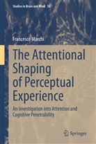 Francesco Marchi - The Attentional Shaping of Perceptual Experience