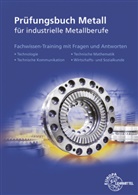 T Hillebrand, Thoma Hillebrand, Thomas Hillebrand, Eckhar Ignatowitz, Eckhard Ignatowitz, Ullri Kinz... - Prüfungsbuch Metall für industrielle Metallberufe