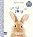 Vikki Chu, Bec Winnel, Amanda Wood, Vicki Chu, Chu Vikki, Bec Wimmel... - Goodnight Little Bunny