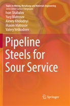Alexey Kholodnyi, Alexey et Kholodnyi, Maxim Matrosov, Yur Matrosov, Yury Matrosov, Iva Shabalov... - Pipeline Steels for Sour Service