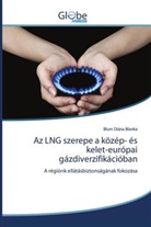 Blum Diána Blanka - Az LNG szerepe a közép- és kelet-európai gázdiverzifikációban