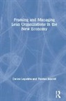Thomas Janoski, Janoski Thomas, Darina Lepadatu, Darina Janoski Lepadatu, Lepadatu Darina - Framing and Managing Lean Organizations in the New Economy