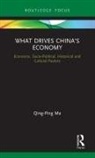 Qing-Ping Ma, Qing-Ping (University of Nottingham Ma - What Drives Chinas Economy