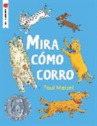 Paul Meisel - Mira como corro