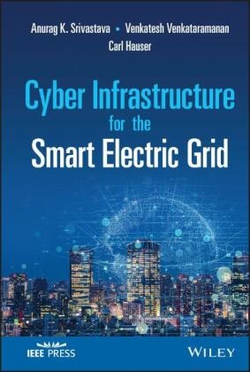 David Bakken, Adam Hahn,  Hau, Carl Hauser, A Srivastava, Ak Srivastava... - Cyber Infrastructure for the Smart Electric Grid