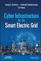 David Bakken, Adam Hahn, Hau, Carl Hauser, A Srivastava, Ak Srivastava... - Cyber Infrastructure for the Smart Electric Grid