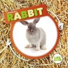 Kirsty Holmes - Rabbit