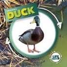 Kirsty Holmes - Duck