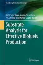 Vijai Kumar Gupta, P K Mishra et al, P. K. Mishra, P.K. Mishra, Manis Srivastava, Manish Srivastava... - Substrate Analysis for Effective Biofuels Production