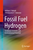 Adetokunboh T Bakenne, Adetokunboh T. Bakenne, William Nuttall, William J Nuttall, William J. Nuttall, William Jame Nuttall... - Fossil Fuel Hydrogen