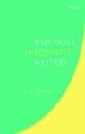 T. M. Scanlon, T. M. (Harvard University) Scanlon, Scanlon T. M. - Why Does Inequality Matter?