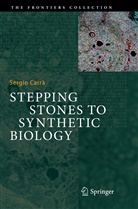 Sergio Carrà - Stepping Stones to Synthetic Biology